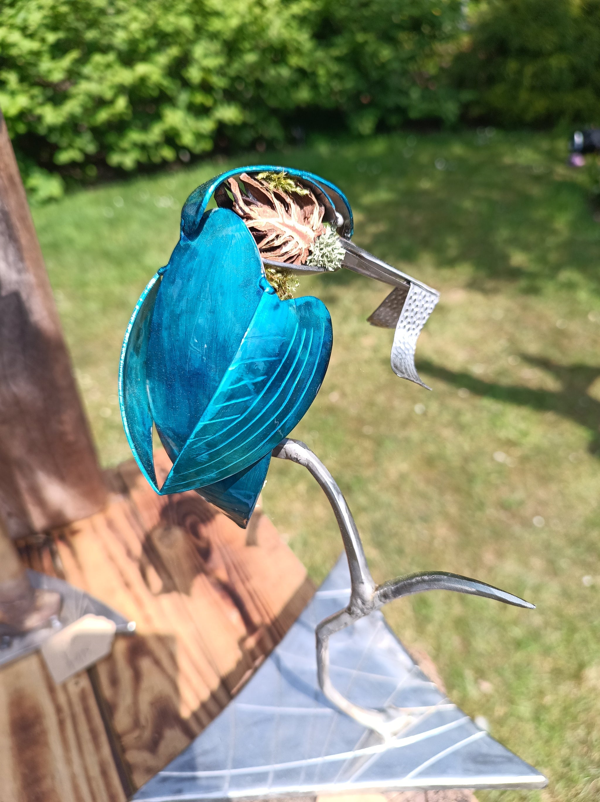 Stunning Kingfisher