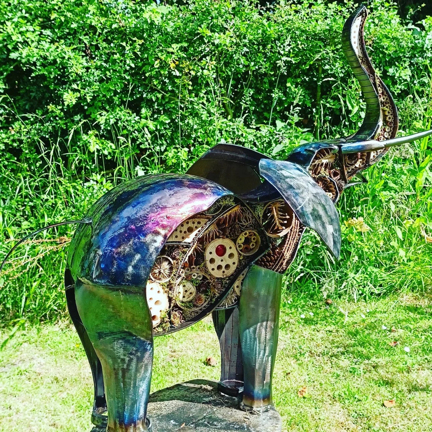 Commission - Elephant