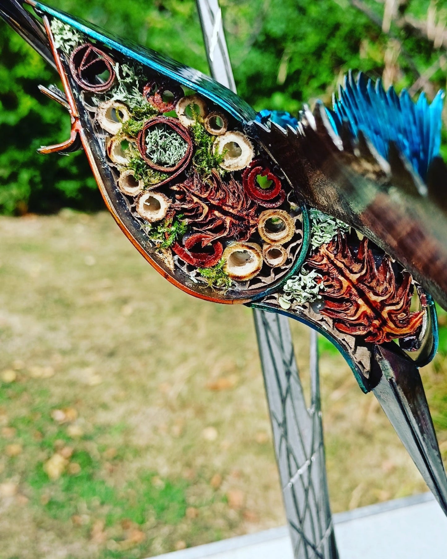 Haley the Kingfisher - Air